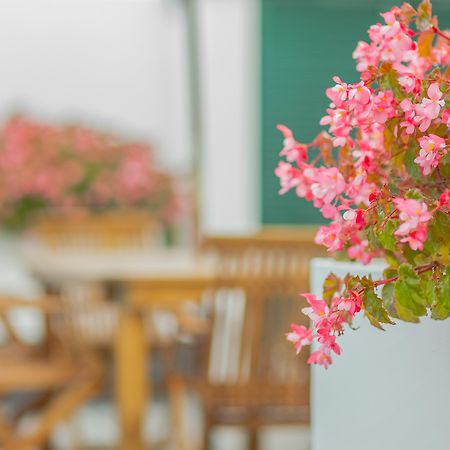 Comercial Boutique Guest House Ponta Delgada 외부 사진