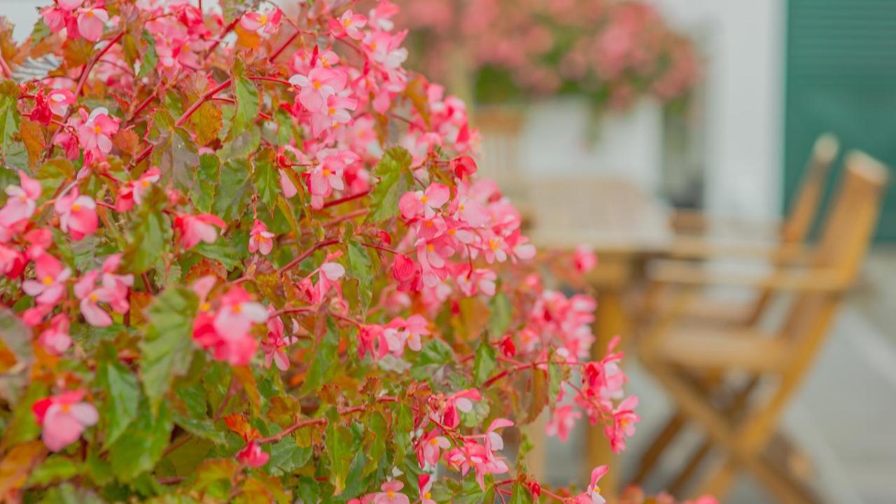 Comercial Boutique Guest House Ponta Delgada 외부 사진